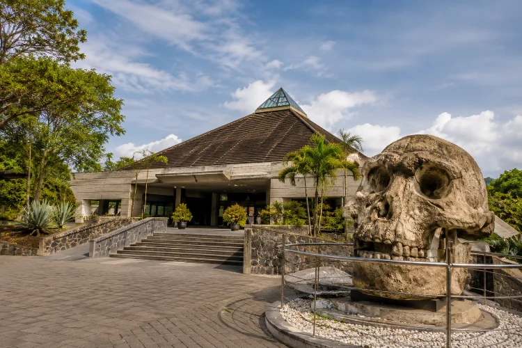 Sejarah Museum Manusia Purba Sangiran Klaster Krikilan